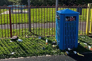 Bin overflow in Llanharan ward